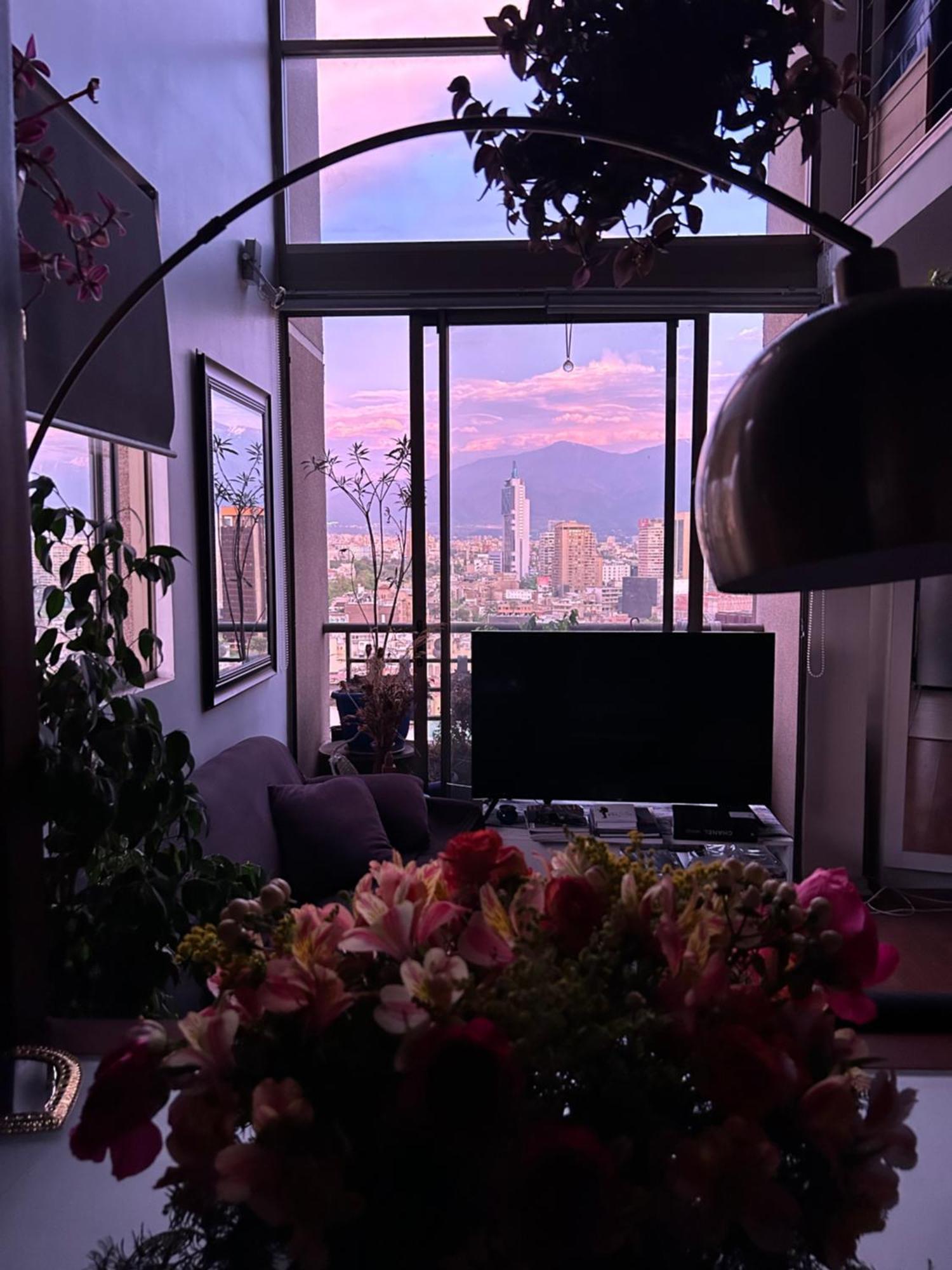 Espectacular Loft En Bellas Artes Con Vista A La Cordillera Santiago de Chile Zewnętrze zdjęcie